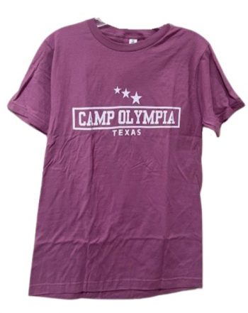 Rainbow Tee - Heather Cassis